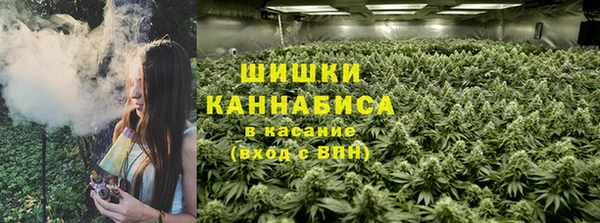 не бодяженный Новозыбков