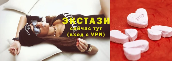 сатива Няндома