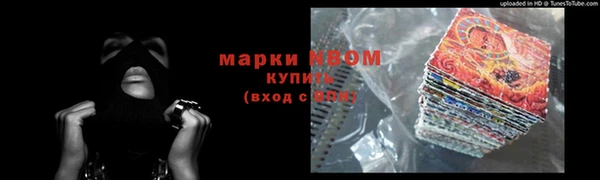 сатива Няндома