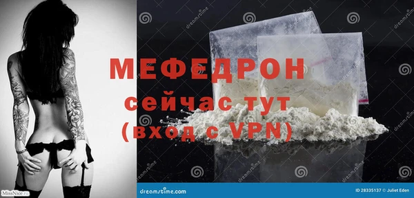 сатива Няндома