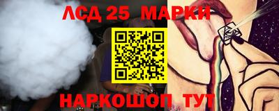 крисы Гагарин