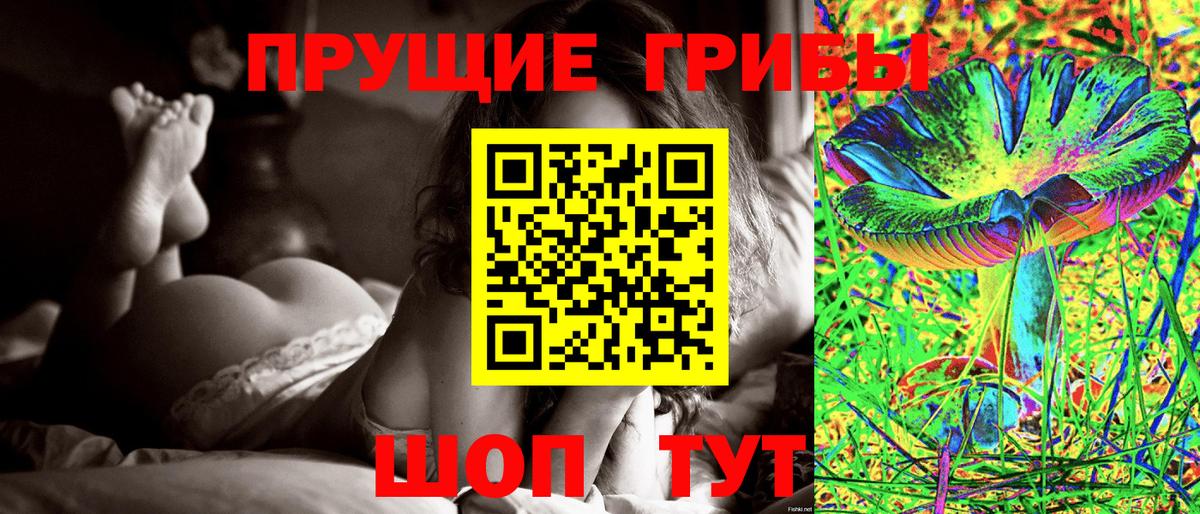 Галлюциногенные грибы Cubensis  сколько стоит  Знаменск  Вход с VPN 