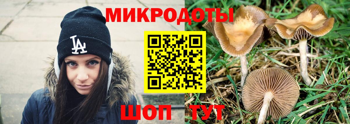 Галлюциногенные грибы MAGIC MUSHROOMS Знаменск
